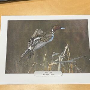 Duck in Flight Art Print